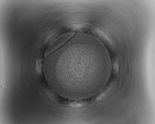 X0000096680868200802121210