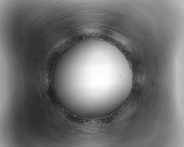 X0000096680869200802121210