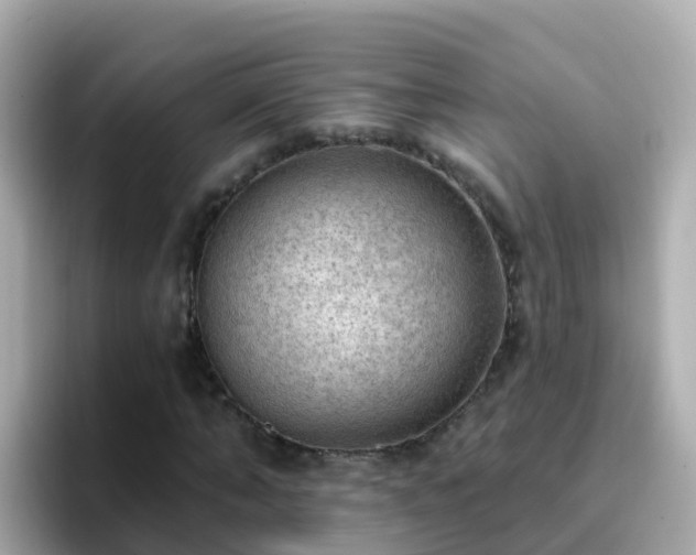 X0000096680870200802121209