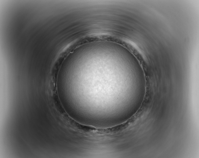 X0000096680871200802121209