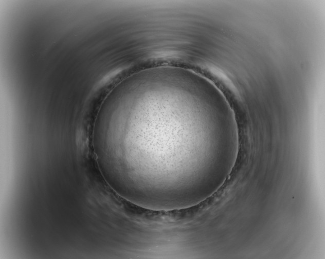 X0000096680872200802121209