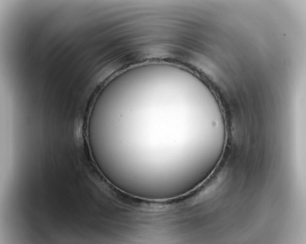 X0000096680873200802121209