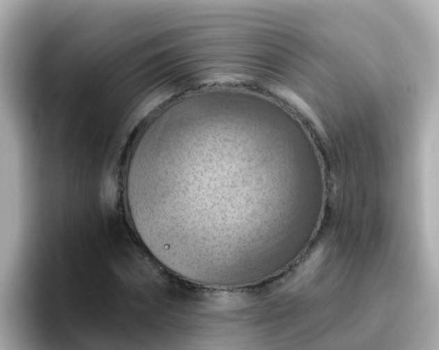 X0000096680874200802121209