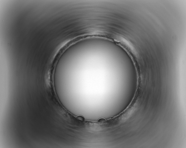 X0000096680875200802121209