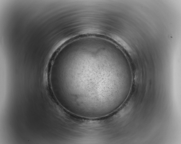 X0000096680877200802121209