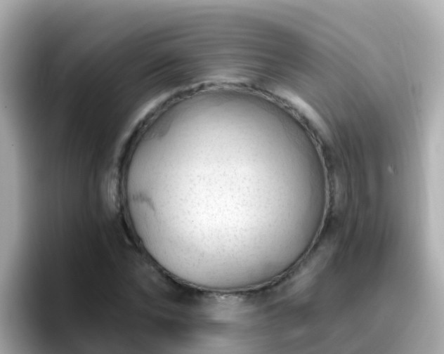 X0000096680878200802121209