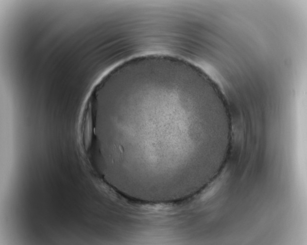 X0000096680879200802121209