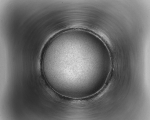 X0000096680880200802121209