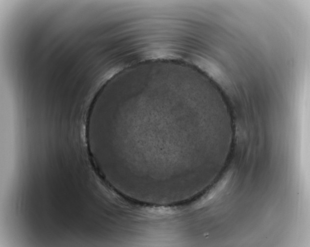 X0000096680881200802121209