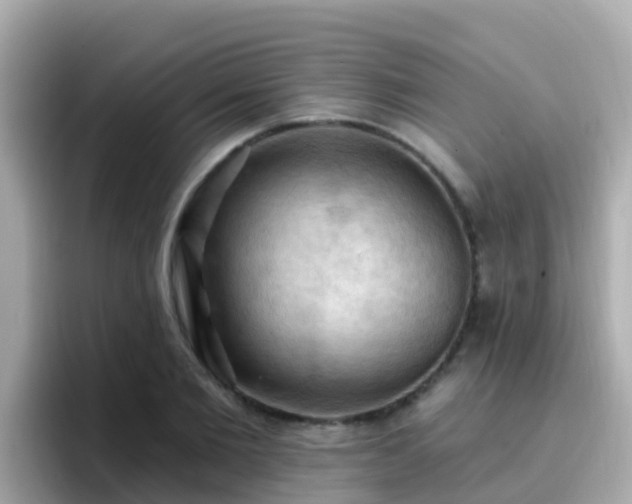 X0000096680885200802121209