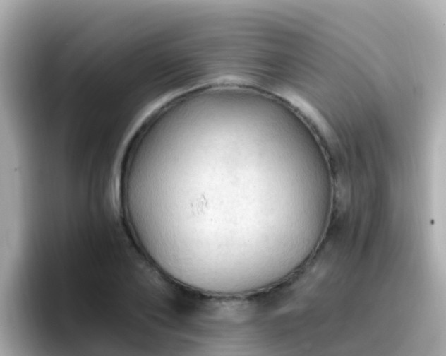 X0000096680886200802121209