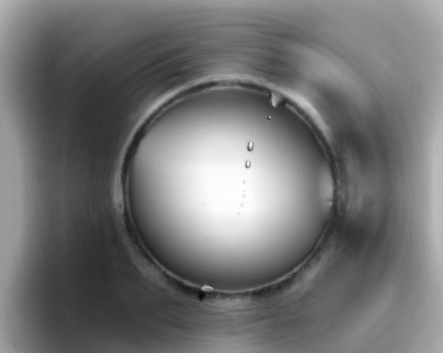 X0000096680887200802121209