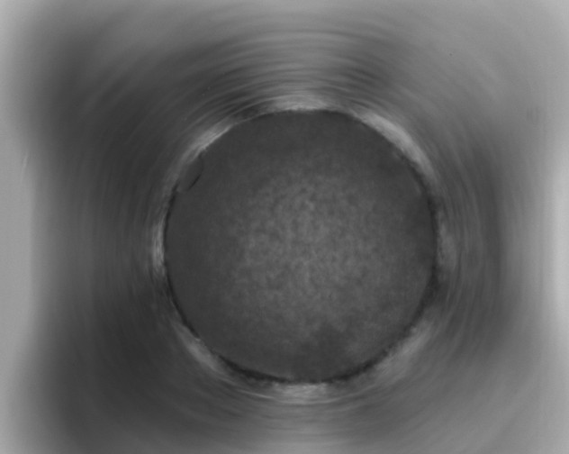 X0000096680889200802121209