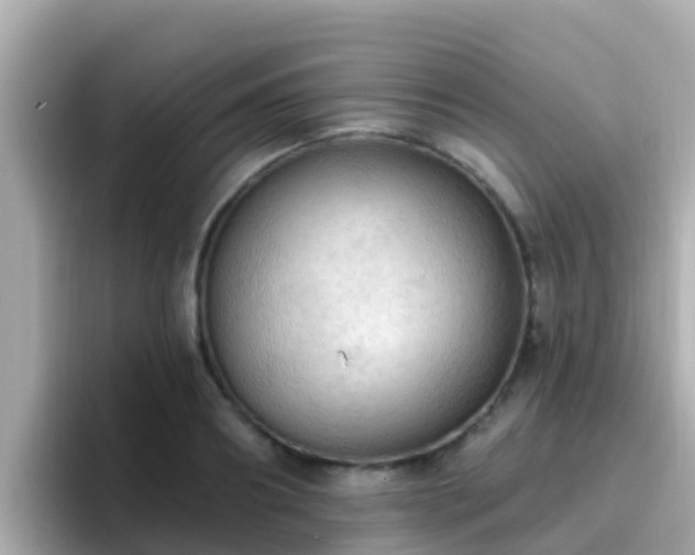 X0000096680890200802121209