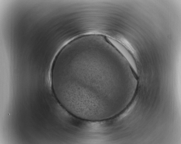 X0000096680892200802121209