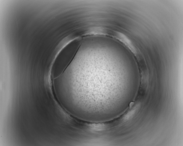 X0000096680893200802121209