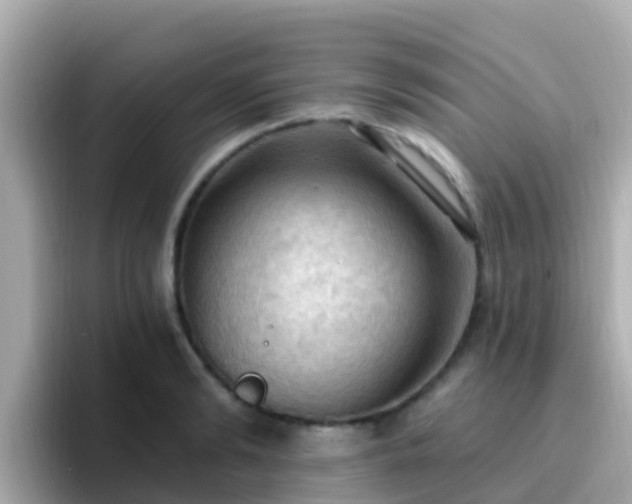 X0000096680894200802121209