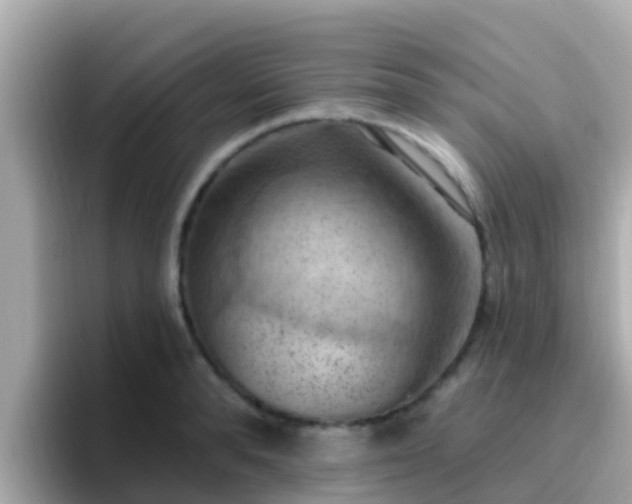 X0000096680896200802121209