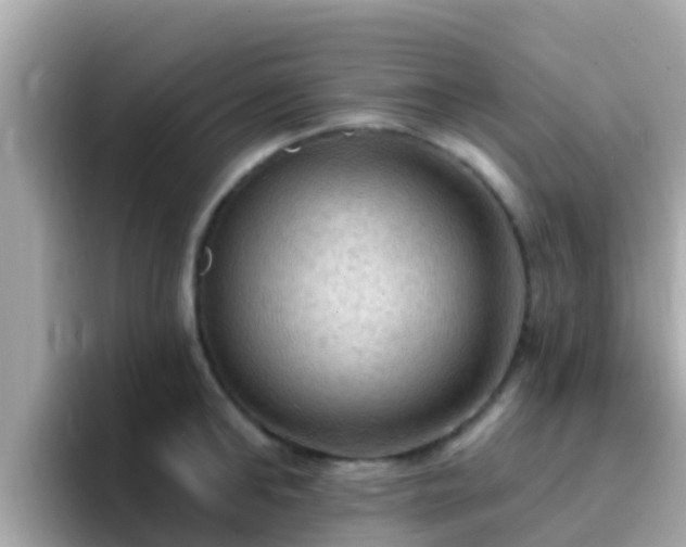 X0000096680902200802121209