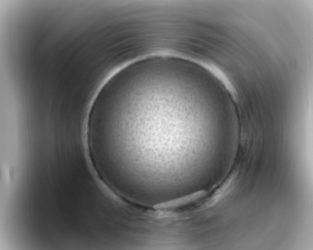 X0000096680903200802121209