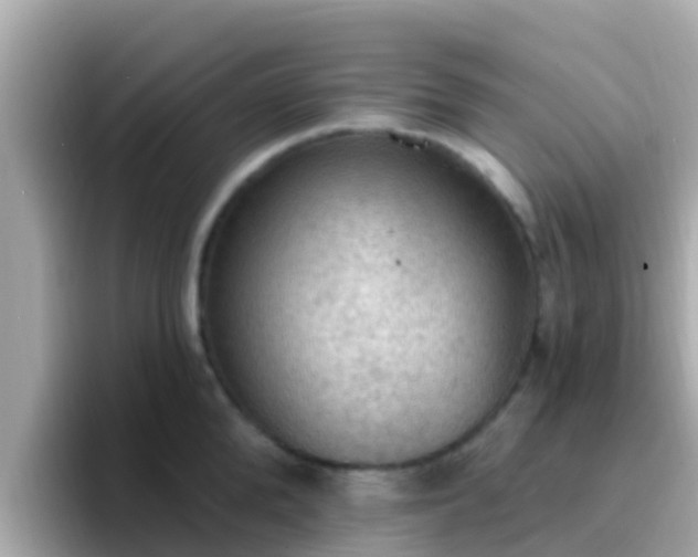 X0000096680904200802121209