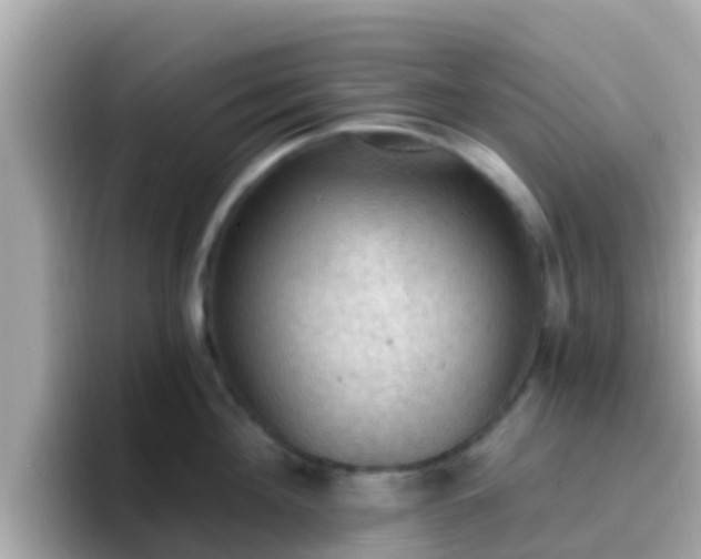 X0000096680908200802121209