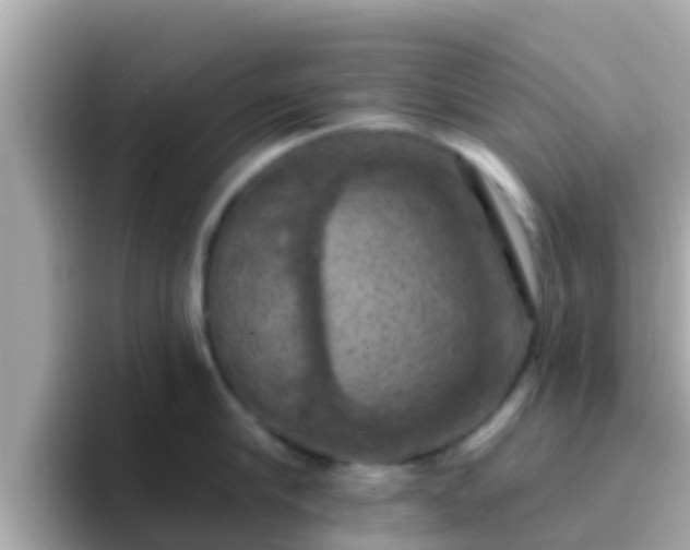 X0000096680910200802121209