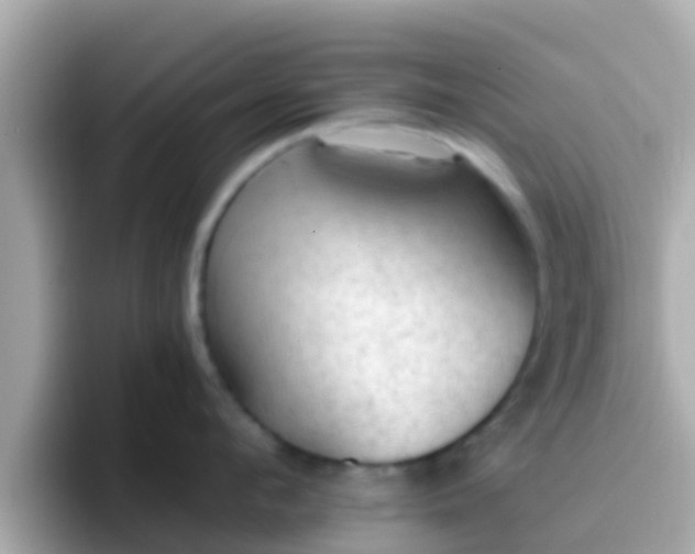 X0000096680912200802121209