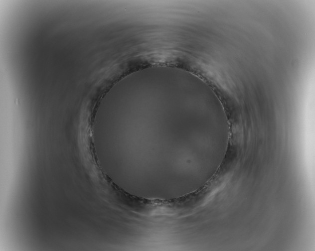 X0000096680913200802121208