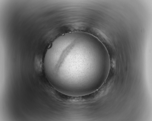 X0000096680915200802121208