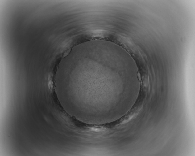 X0000096680916200802121208