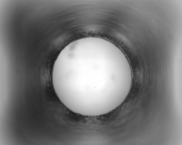 X0000096680918200802121208