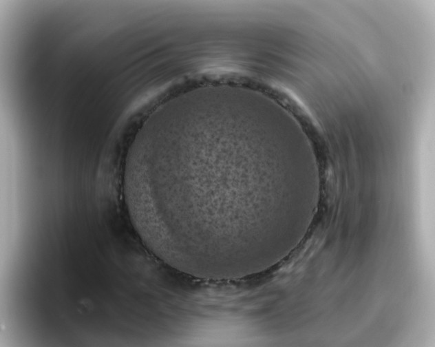 X0000096680919200802121208