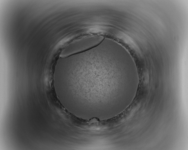 X0000096680920200802121208