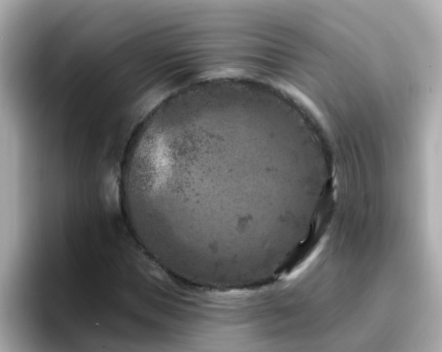 X0000096680921200802121208