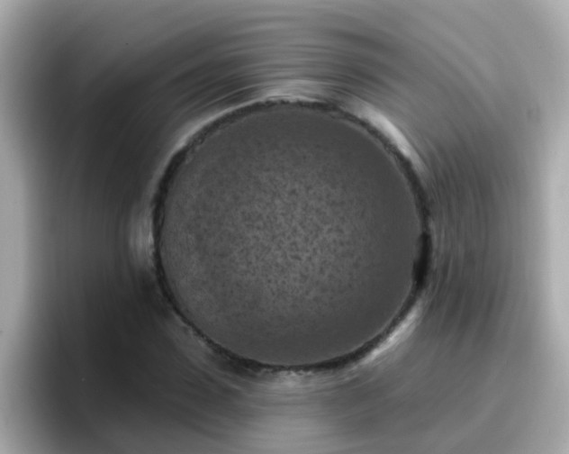 X0000096680923200802121208