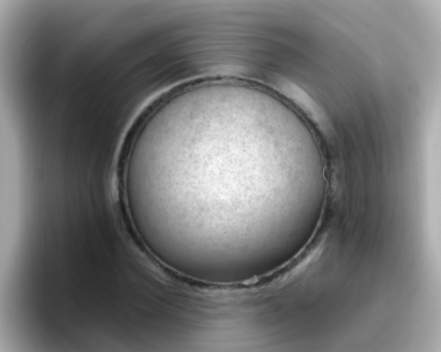 X0000096680924200802121208