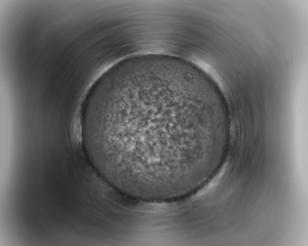 X0000096680925200802121208