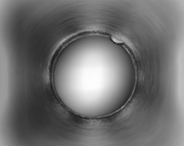 X0000096680927200802121209