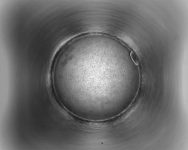 X0000096680928200802121209