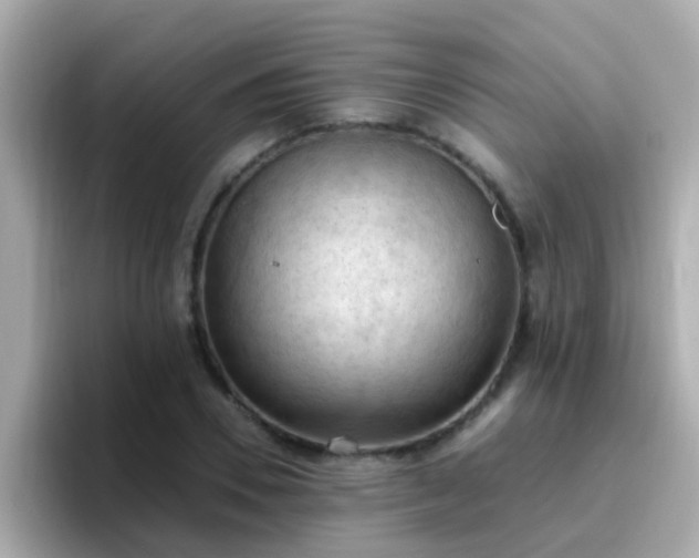 X0000096680930200802121209