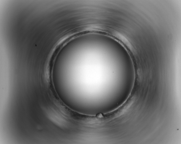 X0000096680931200802121209