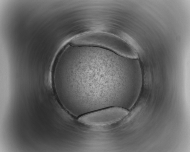 X0000096680932200802121209