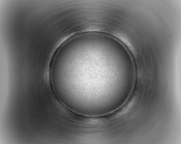 X0000096680933200802121209