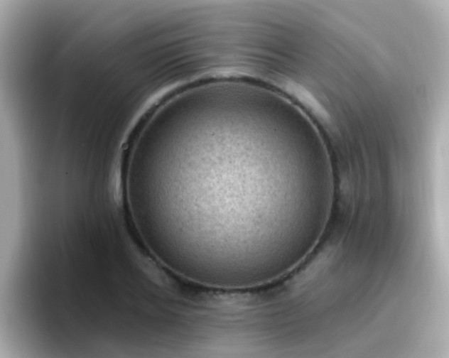 X0000096680934200802121209