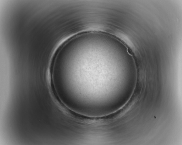 X0000096680936200802121209