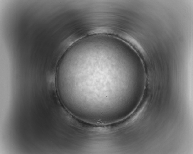 X0000096680937200802121209