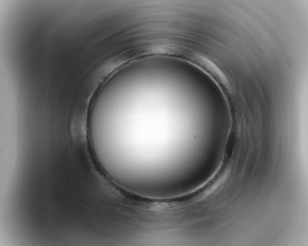 X0000096680938200802121209