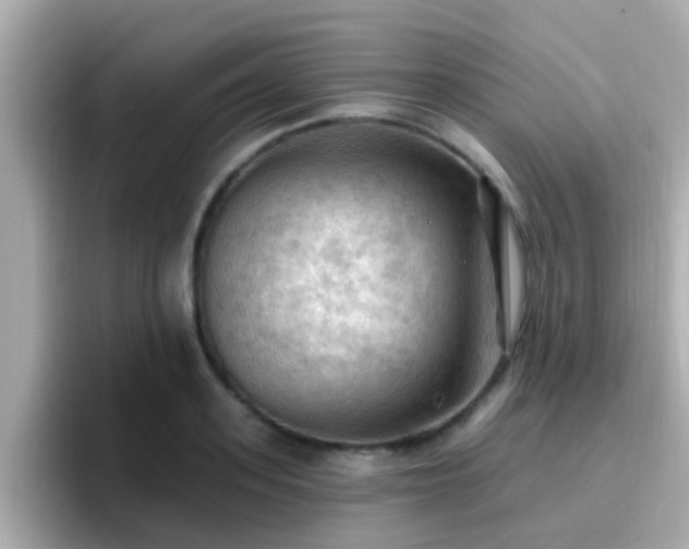 X0000096680939200802121209