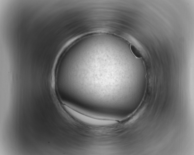X0000096680940200802121209